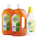 Antiseptic Liquid (Twin Pack) + Laundry Sanitiser